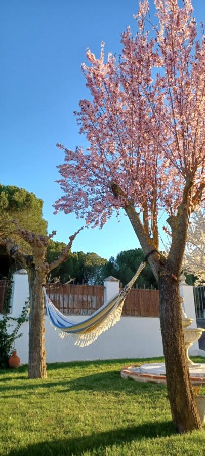La Espiga Villa Valladolid Exteriör bild