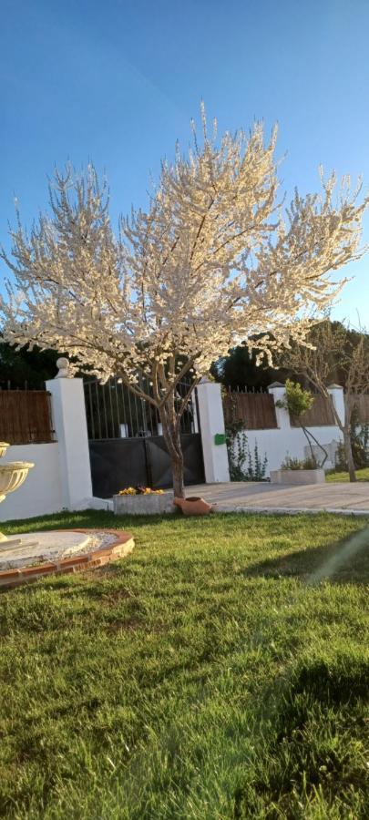La Espiga Villa Valladolid Exteriör bild